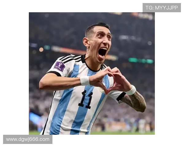 安赫尔·迪马利亚：世界杯+美洲杯冠军完成国家队大满贯