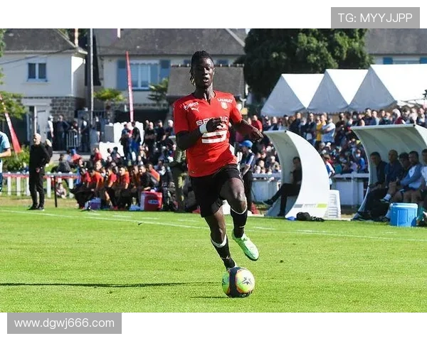 内维斯与赖斯：调度能力与覆盖能力对比分析