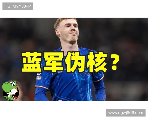 帕尔默的组织核心角色与创造力对战术自由度的依赖分析