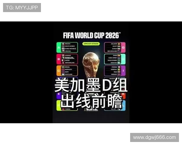 世界杯美国队D组第三轮比赛前瞻